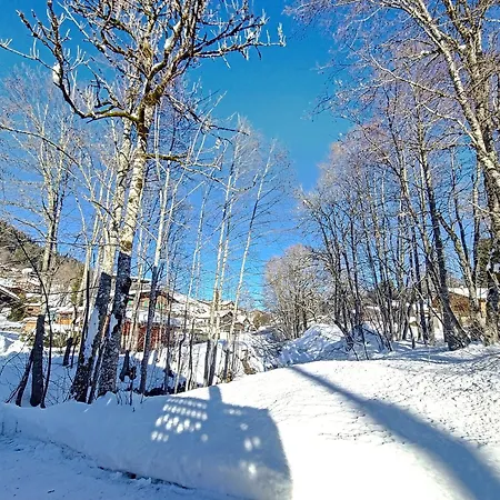 Framboisiere - 10 Pers - Proche Piste Chalet